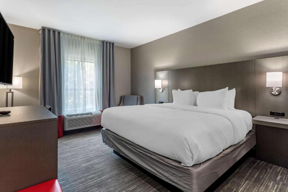 Standard King Room - Non-Smoking  interior